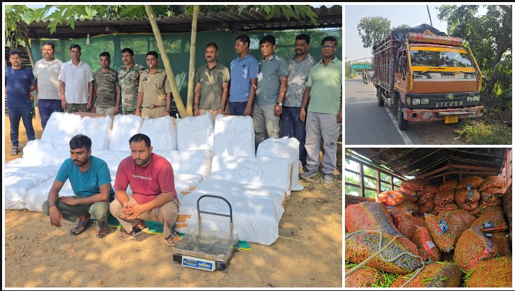 मिर्ची की आड़ में गांजे की करोड़ों की तस्करी का पर्दाफाश! ऑपरेशन आघात में लावाकेरा चेकिंग बैरियर पर 440 पैकेटों से निकला 440.63 किलो गांजा, UP जा रहे दो आरोपी दबोचे—वाहन समेत ₹2.40 करोड़ का माल जब्त