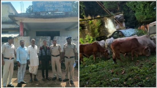 ऑपरेशन शंखनाद में जशपुर पुलिस की बड़ी कार्रवाई: जंगल की पगडंडियों से झारखंड ले जाए जा रहे 29 गौवंश मुक्त, सोनक्यारी में 3 तस्कर गिरफ्तार—फरार आरोपियों की तलाश तेज