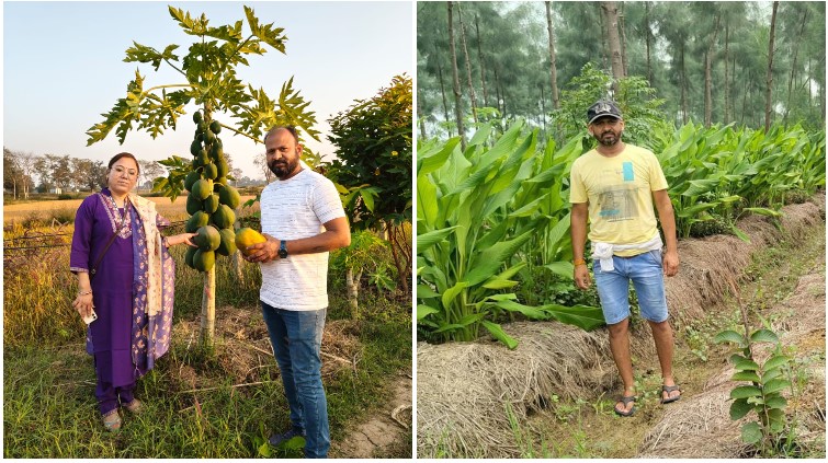 धान छोड़ मिश्रित खेती अपनाई, पहली ही फसल में कमाल! आशीष राठौर ने 1 हेक्टेयर में फलदार पौधों और अंतरवर्तीय फसलों से कमाए ₹3.65 लाख—हल्दी-मुनगा पाउडर से भी हुई ₹1.10 लाख की अतिरिक्त आय