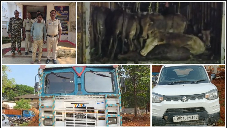 अंबिकापुर से झारखंड जा रहा था गौवंशों से भरा कंटेनर, पुलिस को देखकर भागा चालक तो खुला बड़ा मामला! 65 गौवंश मुक्त, 1 आरोपी गिरफ्तार और रेकी में लगी कार जब्त—जशपुर पुलिस की जांच में अब किन लोगों के नाम आएंगे सामने?