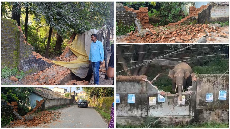 कुनकुरी नगर में दंतैल हाथी की दस्तक से मचा हड़कंप, हॉलीक्रॉस अस्पताल से लोयोला कॉलेज तक पहुंचा गजराज
