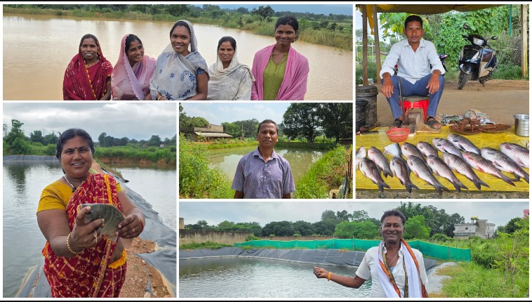 सरगुजा में पानी बना कमाई का जरिया! कहीं मछली पालन से लाखों की आय, तो कहीं महिलाएं भी उतरीं स्वरोजगार में—381 मछुआरों से लेकर बायोफ्लॉक तकनीक तक, जानिए कैसे बदल रही ग्रामीण अर्थव्यवस्था की तस्वीर