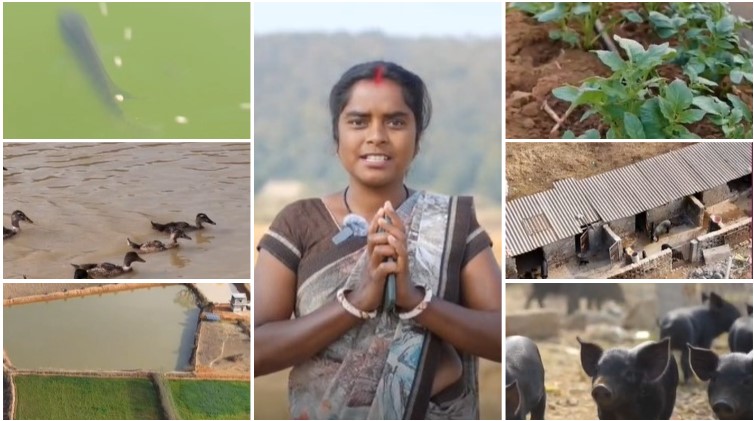 खेती में बदली सोच तो खुलने लगे कमाई के नए रास्ते! संजीता एक्का ने धान के साथ मत्स्य पालन, बागवानी और पशुपालन को जोड़ा, अब दूसरे किसानों को भी कर रहीं प्रेरित