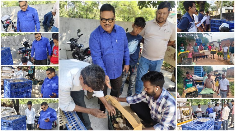 ₹300 का अंशदान, 45 चूजे और स्वरोजगार की राह! बैकयार्ड कुक्कुट योजना से ग्रामीणों को लाभ, जिले में 150 इकाइयां वितरित; 41 का वितरण बाकी
