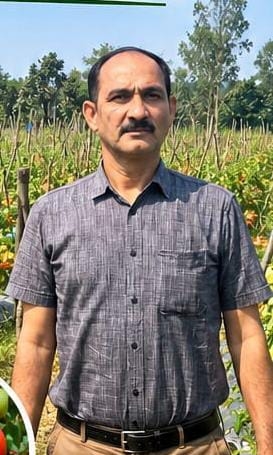 एकड़ में उन्नत टमाटर की खेती से शाहिद जमा खान ने कमाए 1.20 लाख रुपये, आधुनिक कृषि तकनीक और बेहतर फसल प्रबंधन ने बदली कमाई की तस्वीर; तकनीकी मार्गदर्शन से उद्यानिकी बनी आय बढ़ाने का प्रभावी जरिया