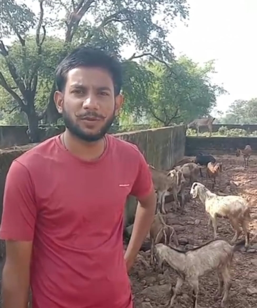 मुख्यमंत्री हेल्पलाइन ने खोली स्वरोजगार की राह: पंजीयन की अड़चन दूर होते ही रवि सोनी को मिली बकरी उद्यमिता योजना की मंजूरी, 13 बकरियां-2 बकरे और ₹50 हजार अनुदान से साकार हुआ आत्मनिर्भरता का सपना
