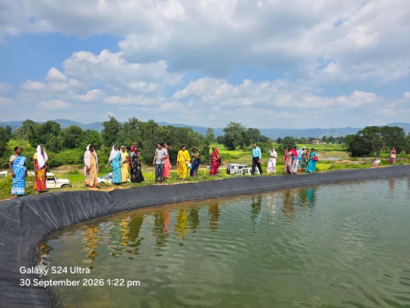जशपुर के 300 मत्स्य किसानों को मिला कमाई बढ़ाने का ‘मछली पालन मंत्र’! वैज्ञानिक तकनीक से उत्पादन बढ़ाने की तैयारी, पौंड लाइनर से केज कल्चर तक कराया गया सीधा प्रशिक्षण और जमीनी भ्रमण