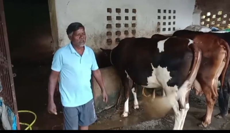 “पशुपालन विभाग की तकनीकी सहायता और कृत्रिम गर्भाधान ने बदली अगस्तु खाखा की आजीविका, एक गाय से बढ़कर 10 पशुओं तक पहुंचा पशुधन — दूध बिक्री से नियमित आमदनी के साथ उन्नत नस्ल के पशुओं से अतिरिक्त आय, पशुधन बढ़ाकर कमाई और मजबूत करने की तैयारी”