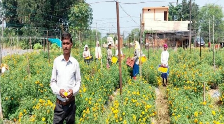 एक हेक्टेयर में गेंदे की खेती, साथ में सब्जियों का उत्पादन! सरकारी योजना से घनश्याम साहू ने कैसे बदली अपनी खेती की दिशा?