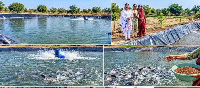 ₹75 हजार की आर्थिक मदद से खुला आत्मनिर्भरता का रास्ता! मछली पालन बना भुनेश्वरी की सफलता की चाबी, अब गांव की महिलाओं के लिए बनीं मिसाल।