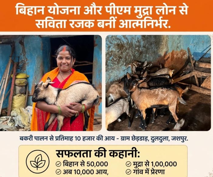 कभी परिवार की आर्थिक चिंता, अब बकरी पालन से हर महीने ₹10 हजार की कमाई! बिहान और मुद्रा योजना के सहारे जशपुर की सविता रजक बनीं आत्मनिर्भर, गांव की महिलाओं के लिए बनीं मिसाल।